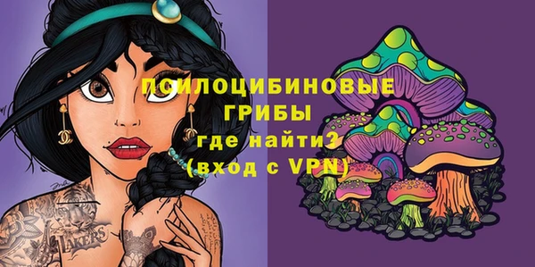 твердый Алзамай